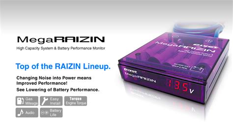 raizin voltage stabilizer review|Mega RAIZIN (VS.